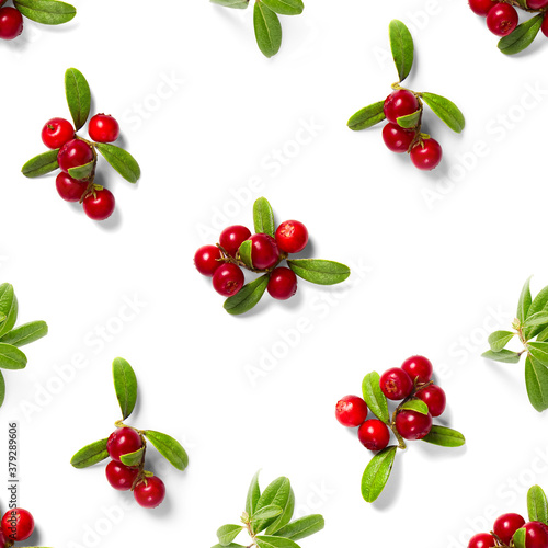 Lingonberry seamless pattern on white background. Fresh cowberries or cranberries with leaves as seamless pattern for textile, fabric, print
