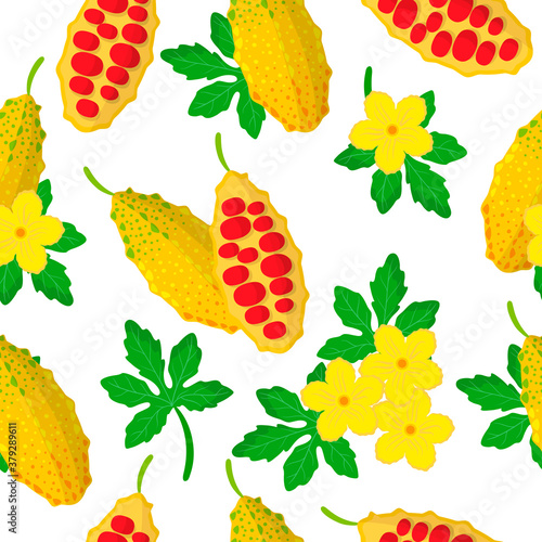 Vector cartoon seamless pattern with Momordica or bitter melon exotic fruits, flowers and leafs on white background