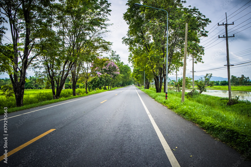 Empty asphalt road through the green field and tree on the forest in summer day. Highway in rural scenes use land transport and traveling background. Trip and journey perspective concept.