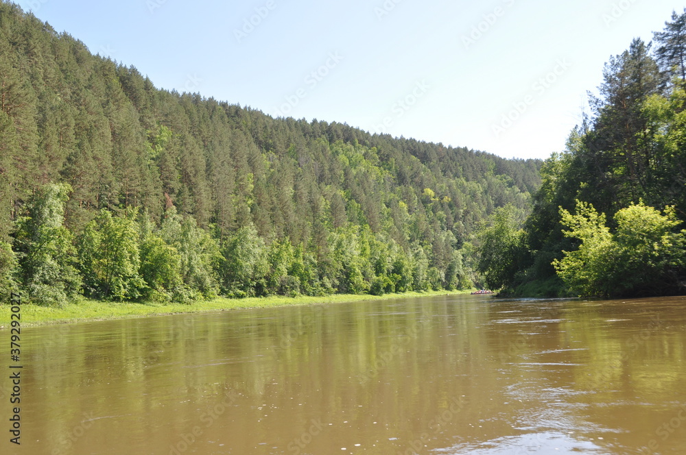 lake in the forest