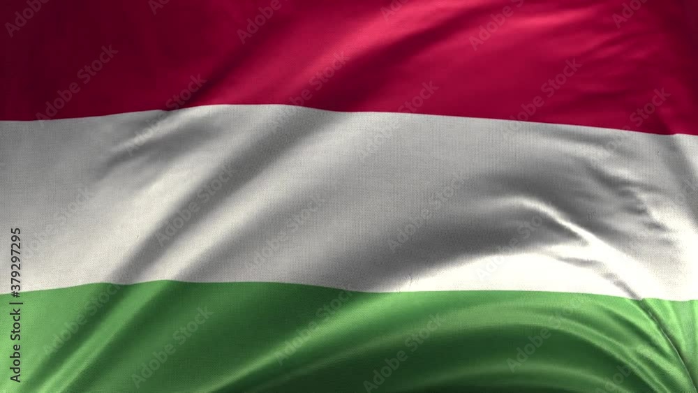 Flag of Hungary Loop 3D
