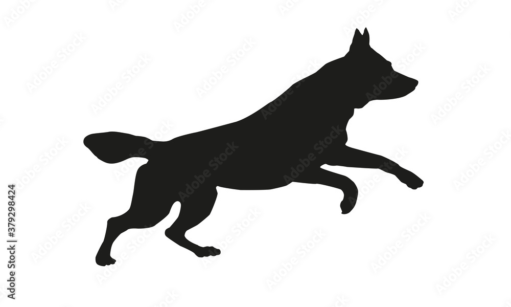 Black dog silhouette. Running czechoslovak wolfdog puppy. Isolated on a white background.