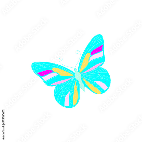 Butterfly print. Butterflies illustration.Beautiful insect.