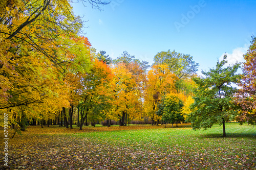 Autumn city park