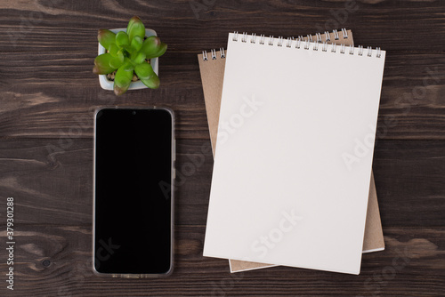Top above overhead view flat lay photo of a blank notebook phone and succulent isolated on wooden background with copyspace