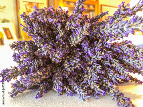 English lavender