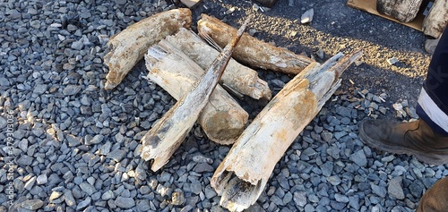 Wallpaper Mural blue jeans texture Torontodigital.ca