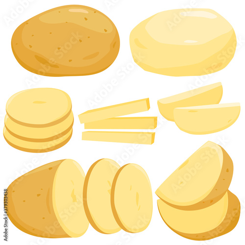 Whole, sliced and peeled potatoes. Vector illustration.