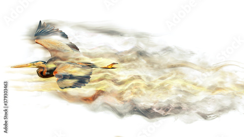 Fototapeta Naklejka Na Ścianę i Meble -  Abstract nature. Flying bird. Dispersion effect. White background. 