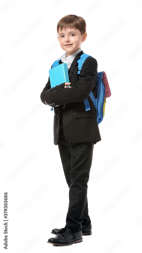 Little schoolboy on white background Little schoolboy on white background