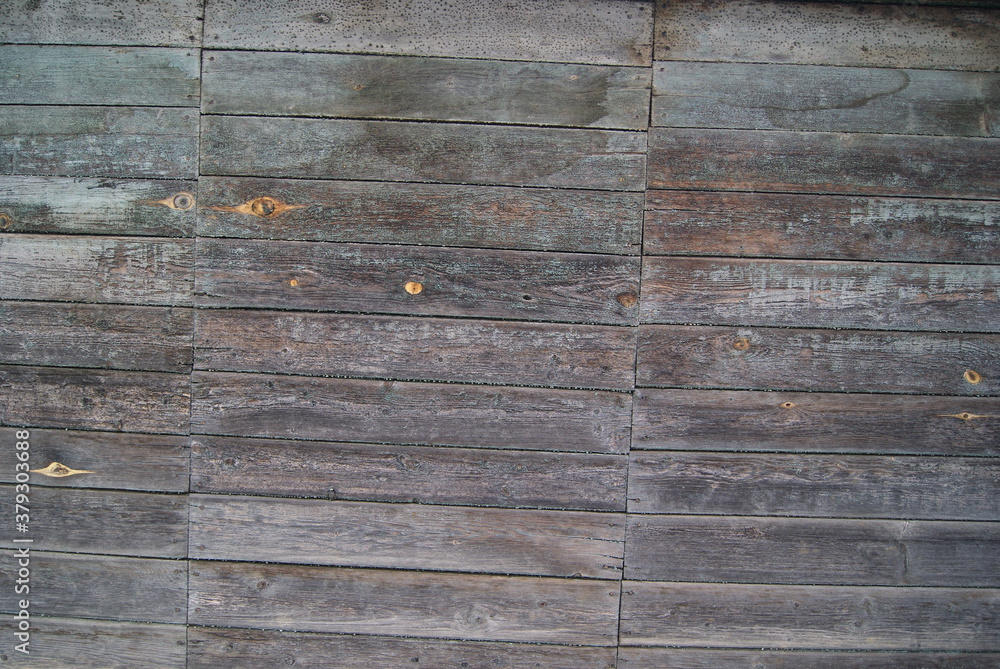 Fototapeta premium Wooden surface made of old unpainted boards. Fragment of a plank wall.