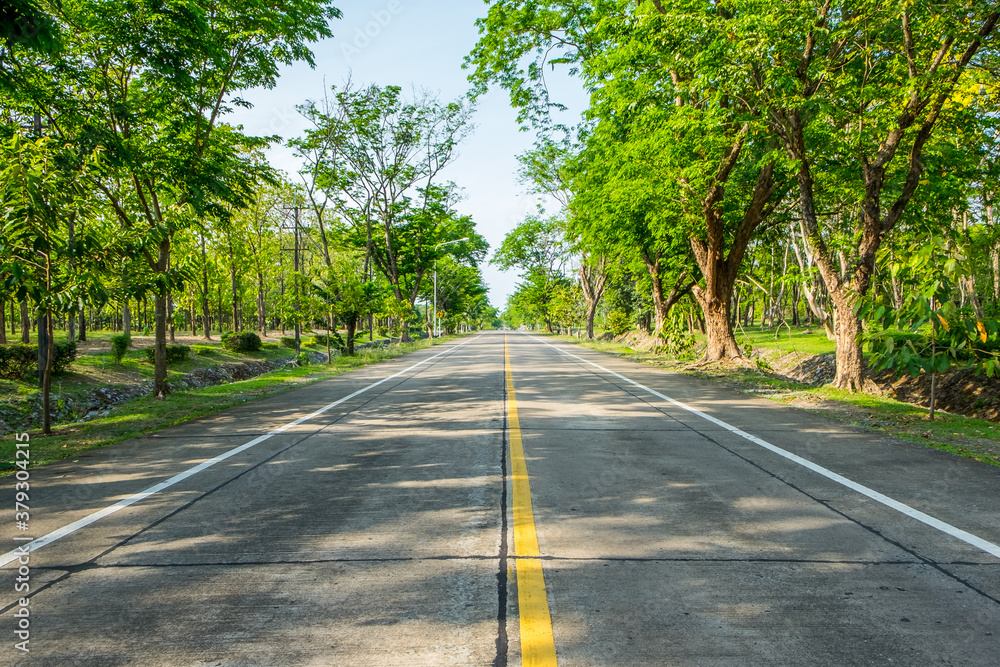 Empty asphalt road through the green field and tree on the forest in summer day. Highway in rural scenes use land transport and traveling background. Trip and journey perspective concept. Empty asphalt road through the green field and tree on the forest in summer day. Highway in rural scenes use land transport and traveling background. Trip and journey perspective concept.