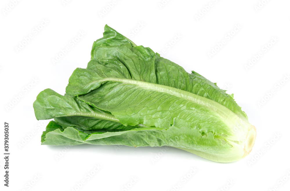 fresh cos (lettuce) on white background fresh cos (lettuce) on white background