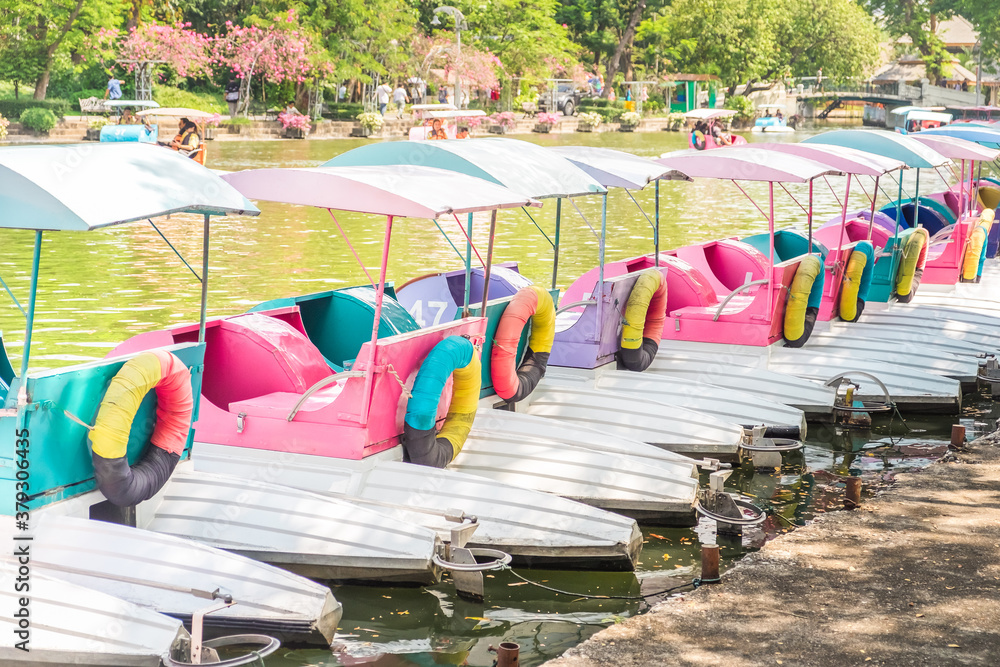 custom made wallpaper toronto digitalPedal boats