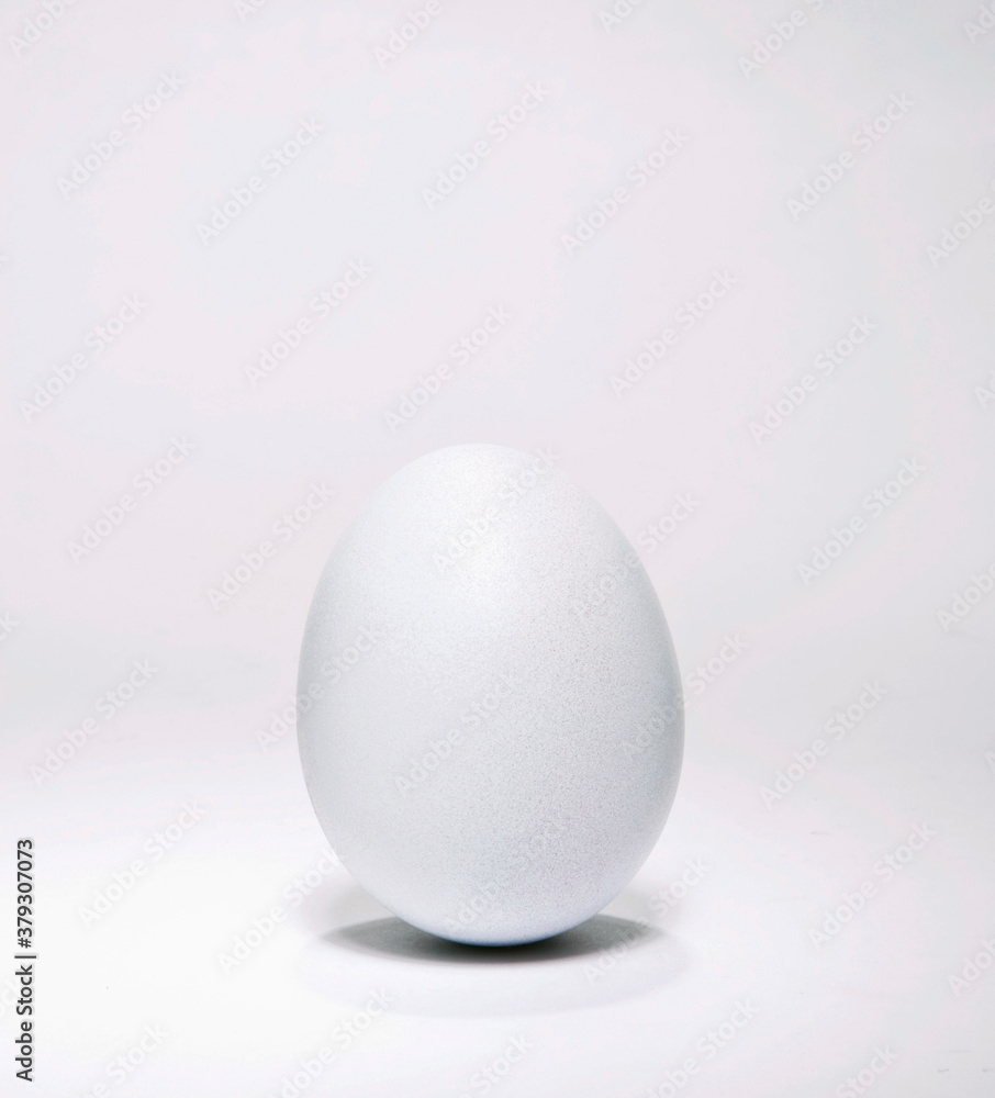 close up of white egg