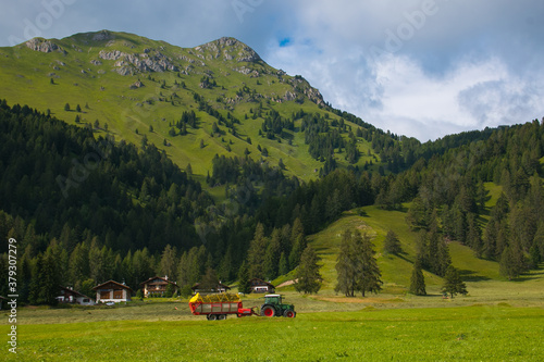 Summer view of Bellamonte mountain village in Trentino Alto-Adige, Italy