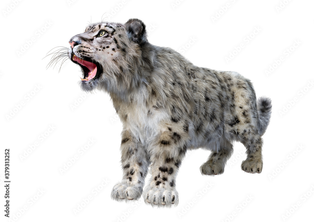 Obraz premium 3D Rendering Snow Leopard on White