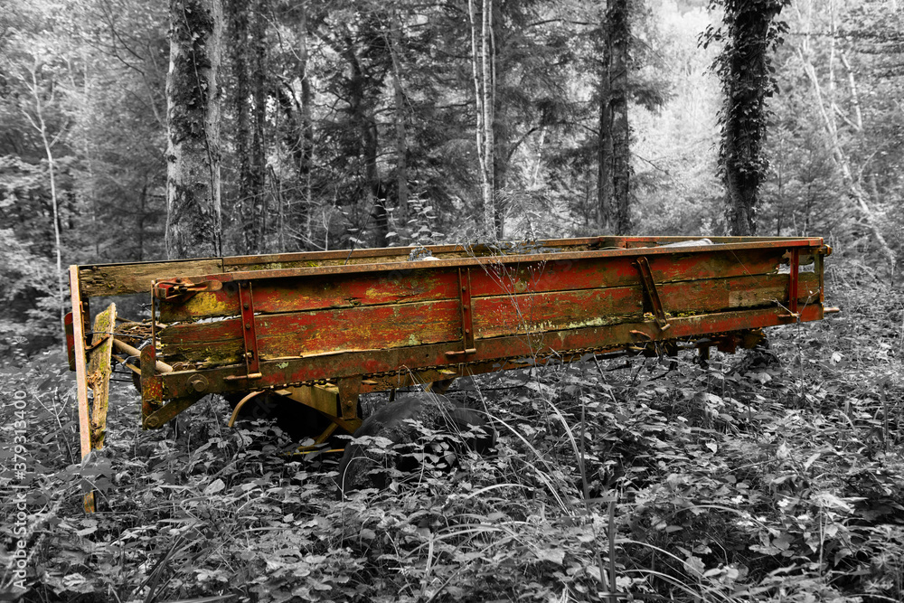 Obraz premium Alter Holzwagen