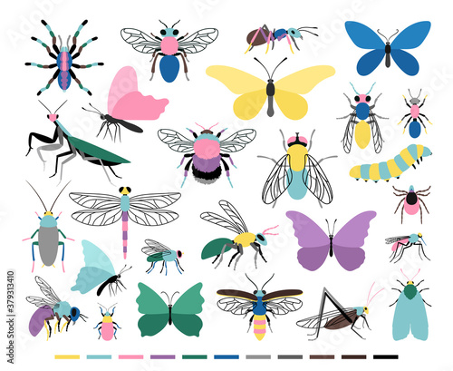 Cartoon insect set. Cute small creatures of entomology science, vector illustration of colored caterpillars and butterflies icons isolated on white background