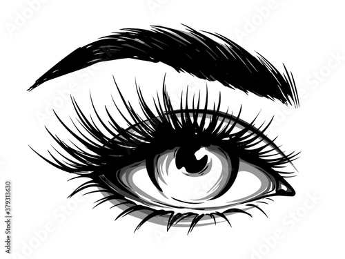 Hand-drawn woman's eye with eyebrow and long eyelashes. Fashion illustration. Vector EPS 10.