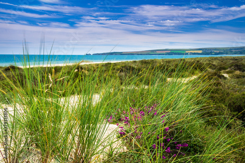 Summer walk in the sand dunes of Studland beach Dorset south west England with the Purbeck hills in the distance