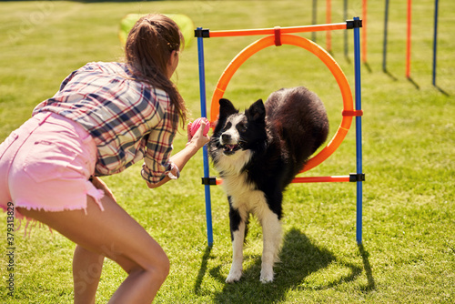 Border collie dog and a woman on an agility field