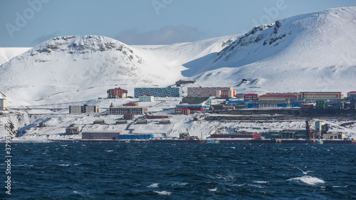 svalbard, golfstream, barentsburg, gronfjorden, polar night,  stemmevatnet photo