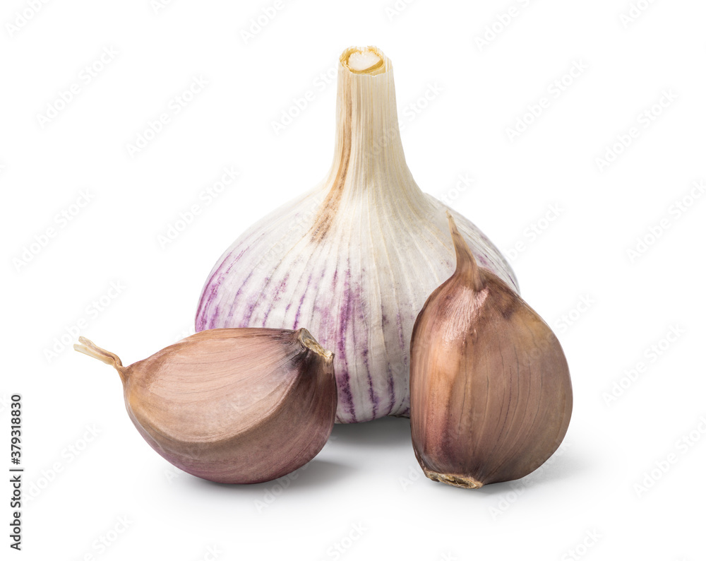 Fototapeta premium Head and cloves of garlic