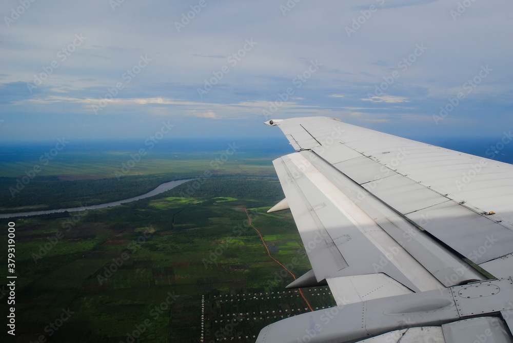borneo / kalimantan state forest from airplane window