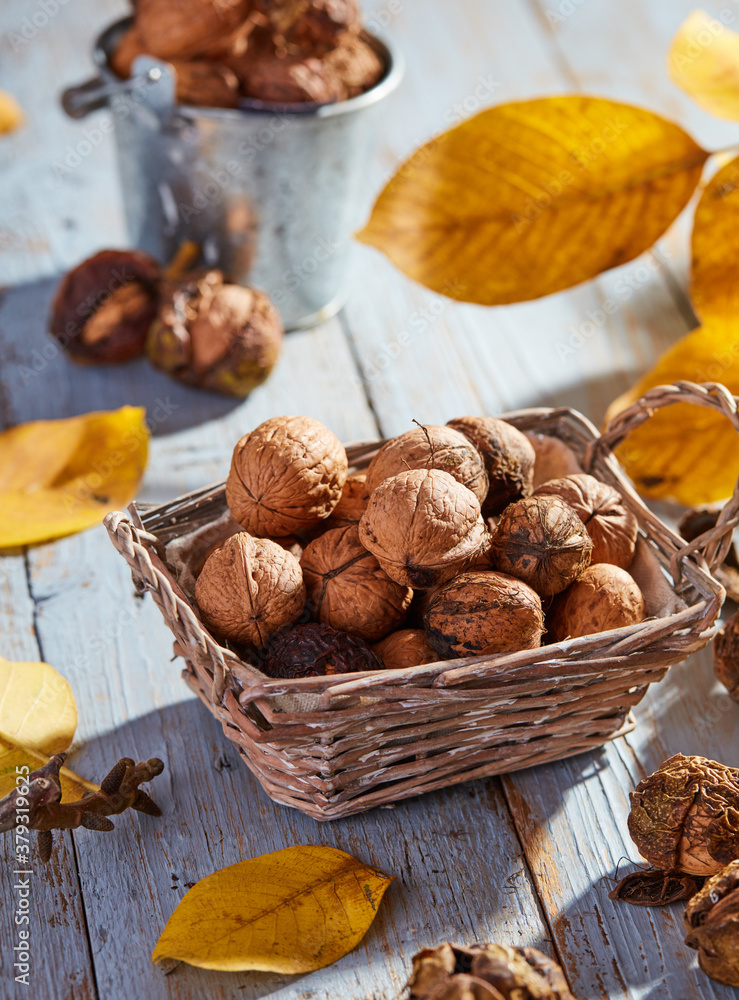 Organic walnuts with yellow leafs Organic walnuts with yellow leafs