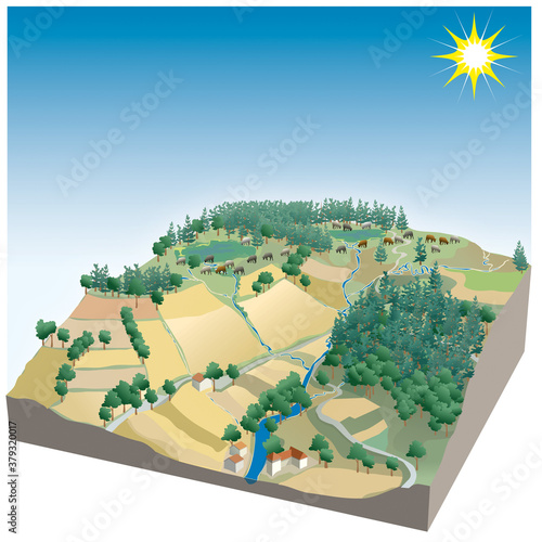 Paysages : un vallon en été
