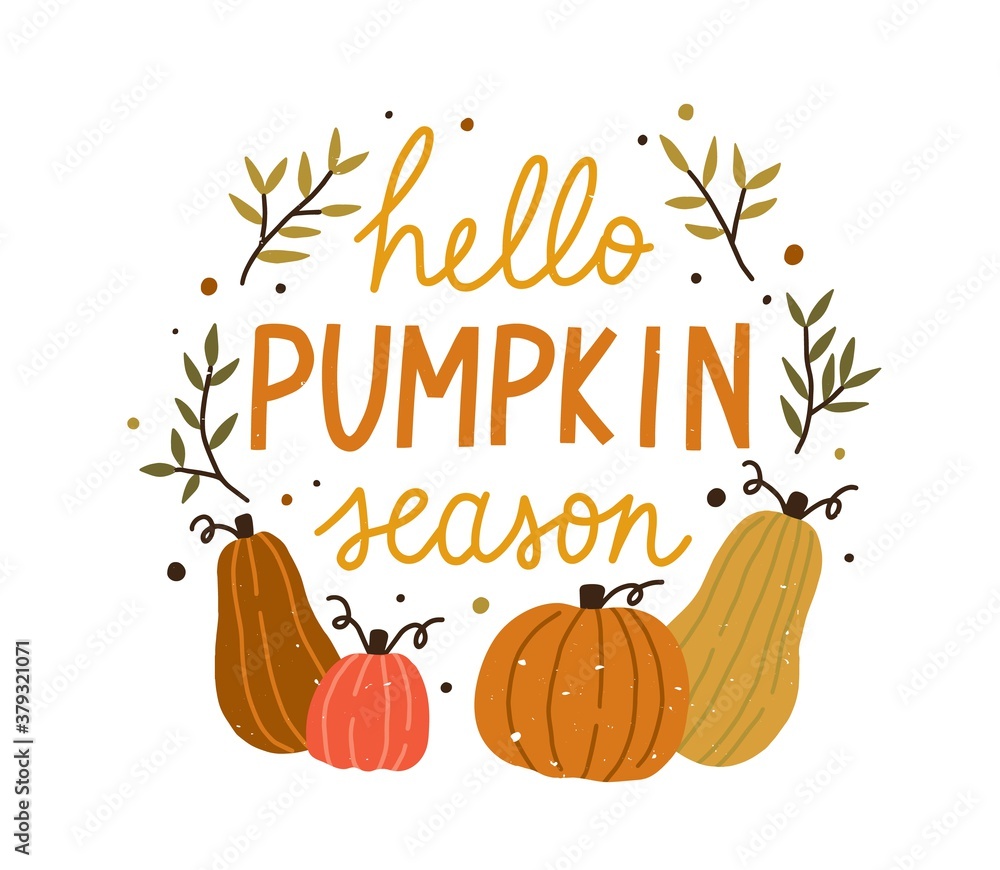 Hello pumpkin season cute colorful composition with quote inscription vector flat illustration. Colorful autumn hand drawn lettering decorated with design elements isolated. Creative fall phrase - obrazy, fototapety, plakaty 