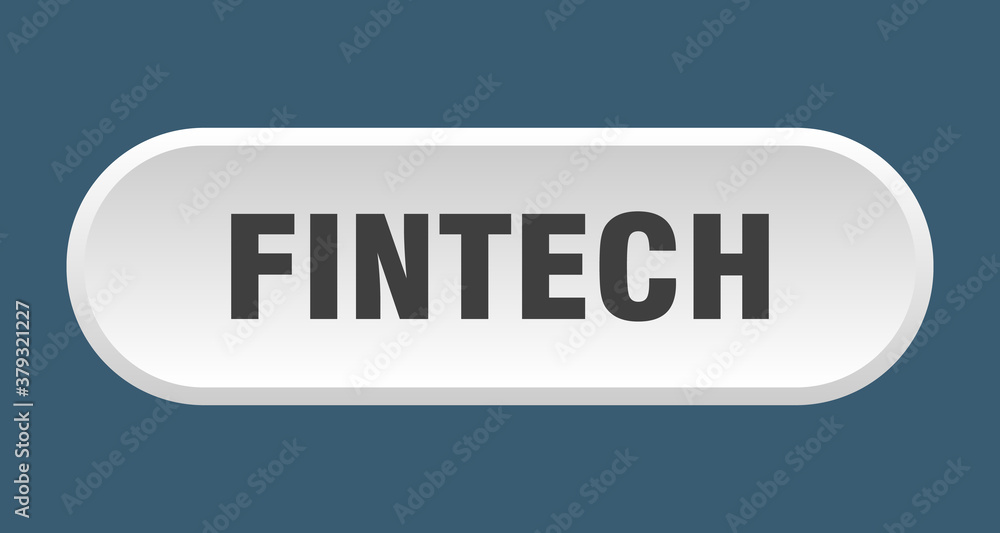 fintech button. rounded sign on white background fintech button. rounded sign on white background