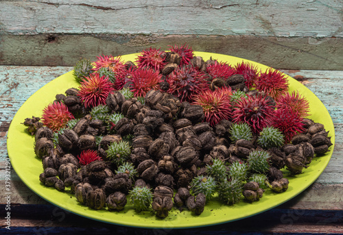 Green dish with red and green castor beans and fruits (Ricinus communis L) photo