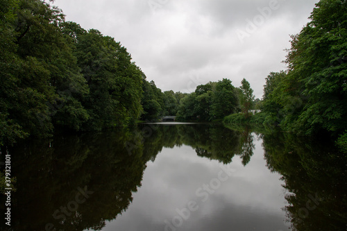 summer landscape calm pond surrounded by trees © eevlada