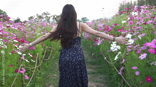 woman in the field