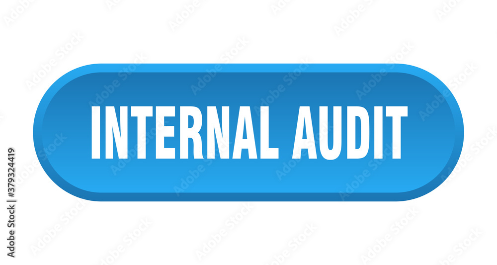 internal audit button. rounded sign on white background internal audit button. rounded sign on white background