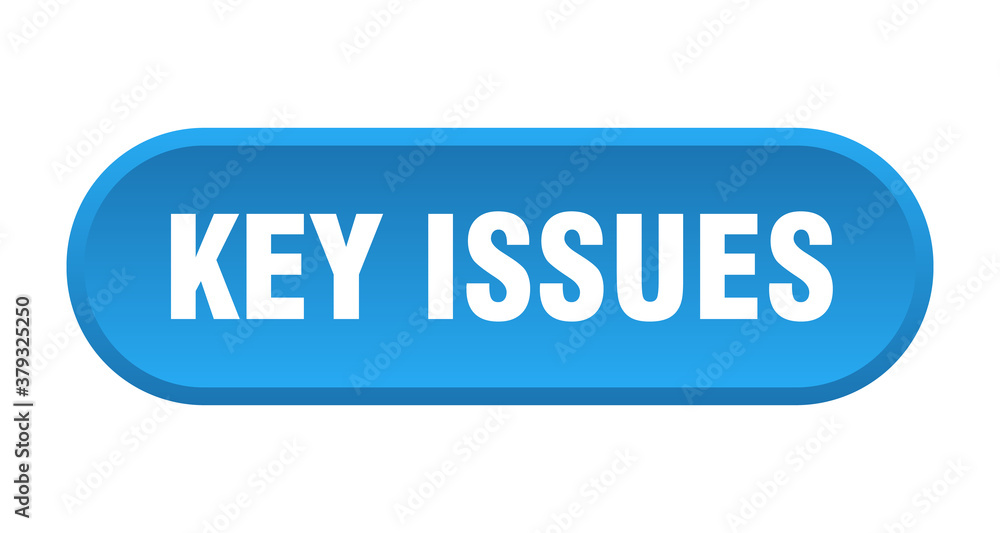 key issues button. rounded sign on white background key issues button. rounded sign on white background