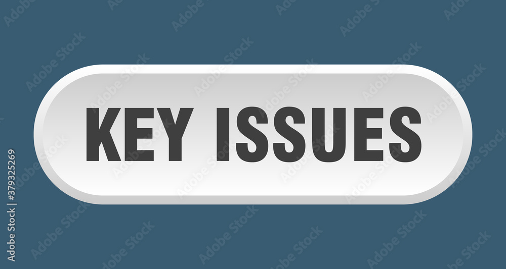 key issues button. rounded sign on white background key issues button. rounded sign on white background