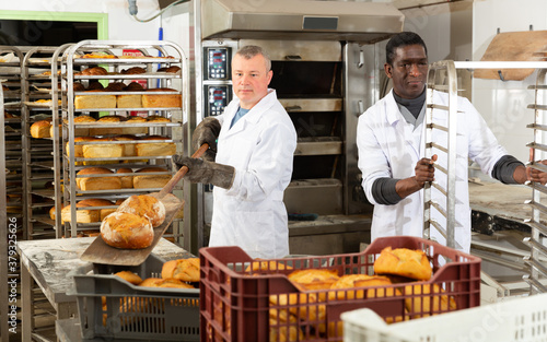 Two experienced bakers arranging fresh baked bread in small bakery