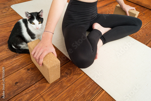 Practising yoga with a cat friend