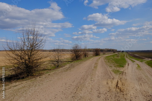 Wide dirt road among fields. A tree by the road. Landscape.