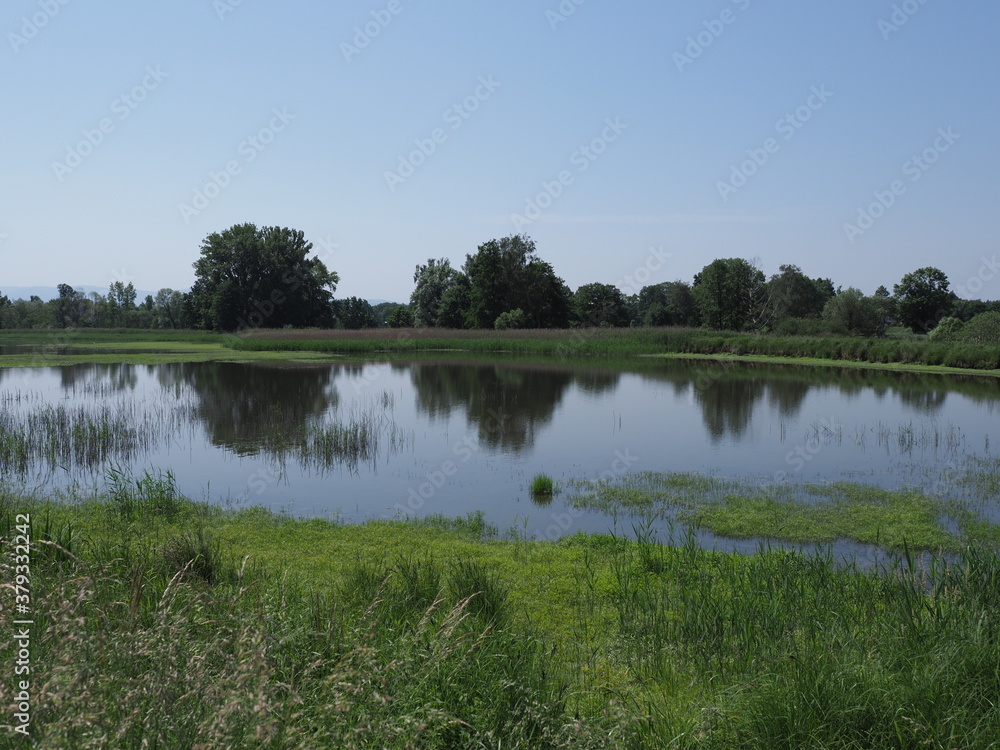 Lakeside landscapes of breeding pond in european Goczalkowice town at Silesian district in Poland. clear blue sky in 2020 warm sunny spring day on June. Lakeside landscapes of breeding pond in european Goczalkowice town at Silesian district in Poland. clear blue sky in 2020 warm sunny spring day on June.