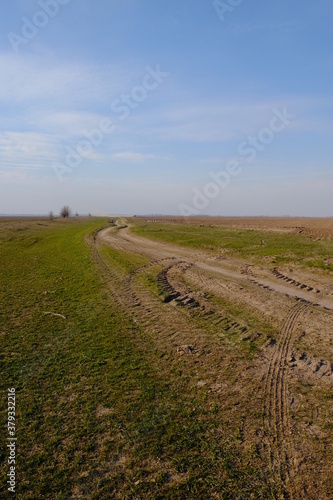 A narrow dirt road in an evening field. Clear blue sky over the field.