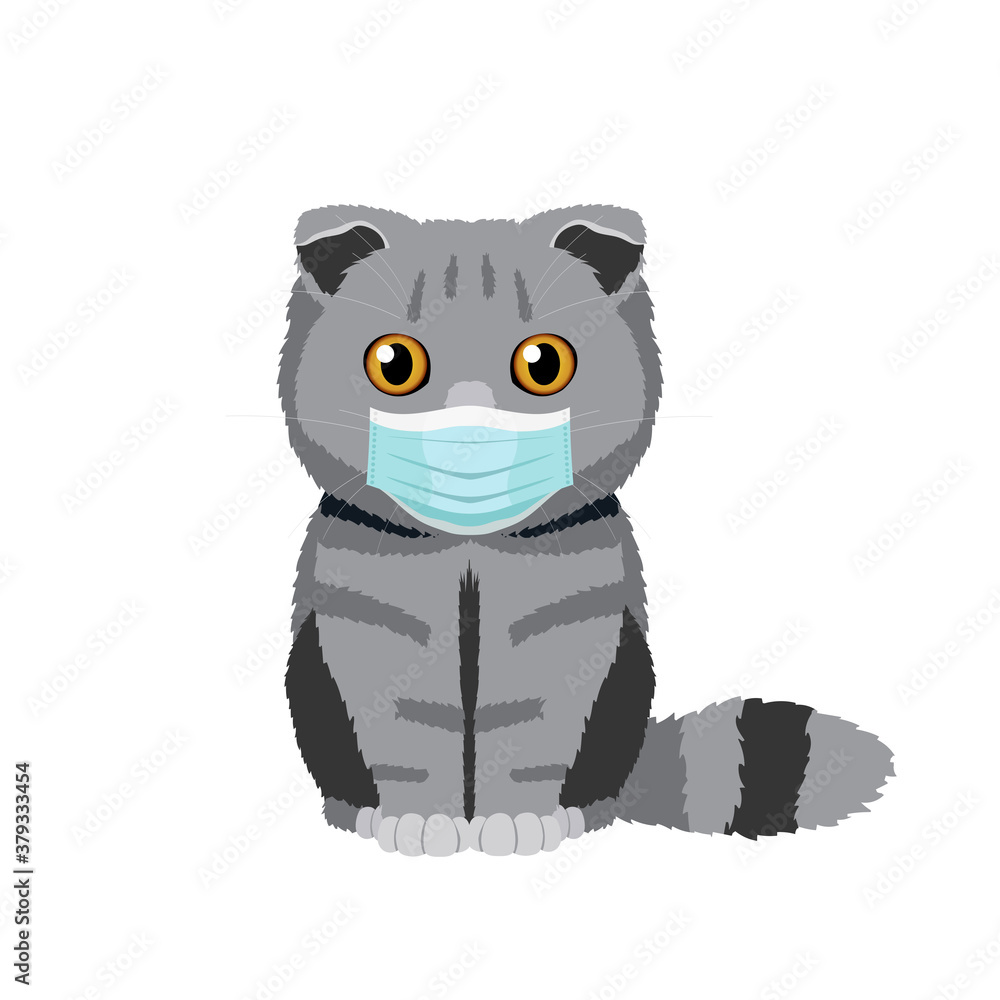 Vector illustration of a funny lop-eared scottish fold cat in medical mask isolated on white background Vector illustration of a funny lop-eared scottish fold cat in medical mask isolated on white background