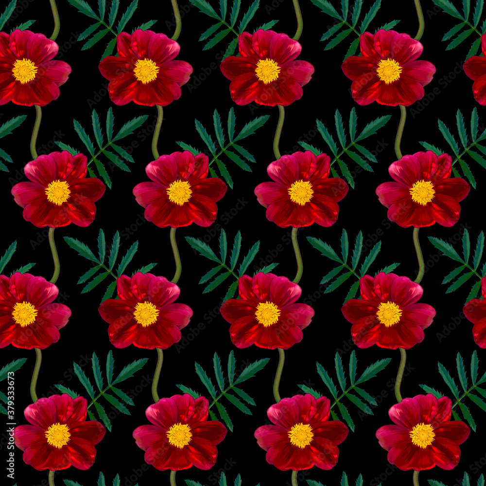Seamless pattern with red Dahlia flowers and green leaves on black background. Endless floral texture. Raster colorful illustration.