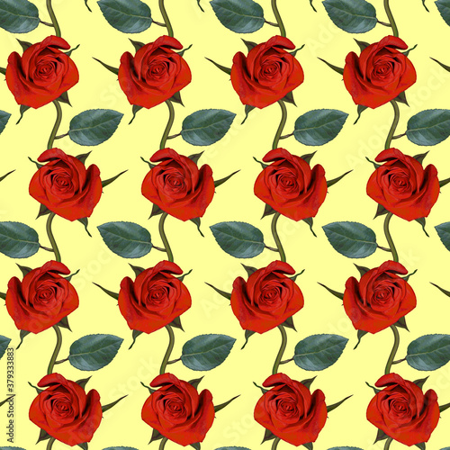 Seamless pattern with red rose flowers and green leaves on yellow background. Endless colorful floral texture. Raster illustration.