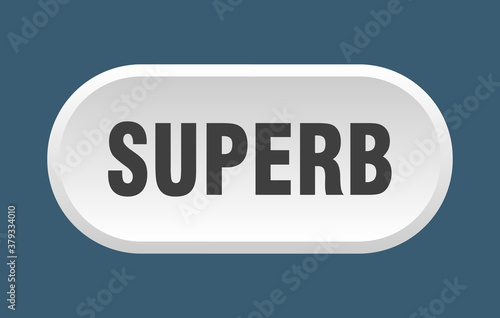 superb button. rounded sign on white background