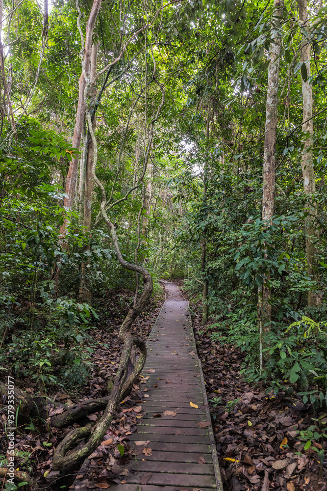 Obraz premium Taman Negara National Park and boottrip on the Tembeling river
