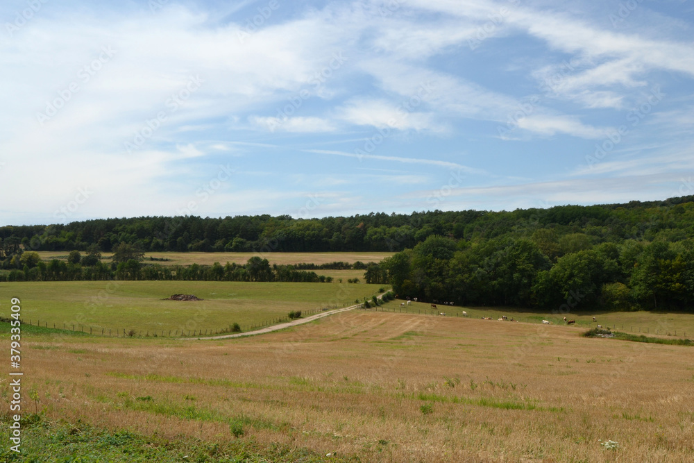 Campagne de Haute-Saône, paysage agricole, Les Pelouses des Monts de Gy, France